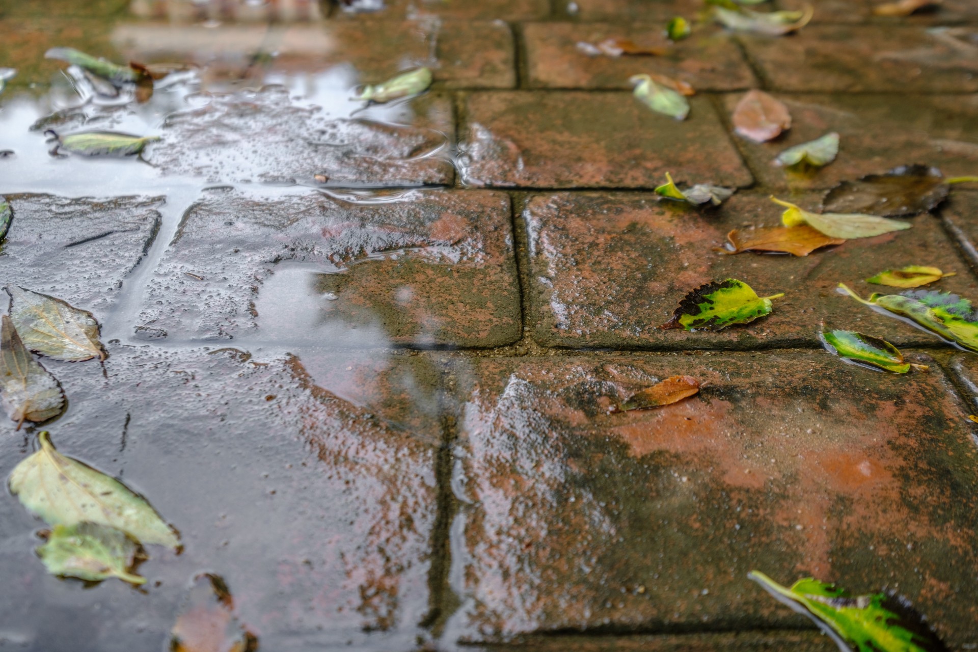 Wet, slippery stamped concrete in a cobblestone pattern in Aurora, IL.